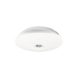 Firefly Surface